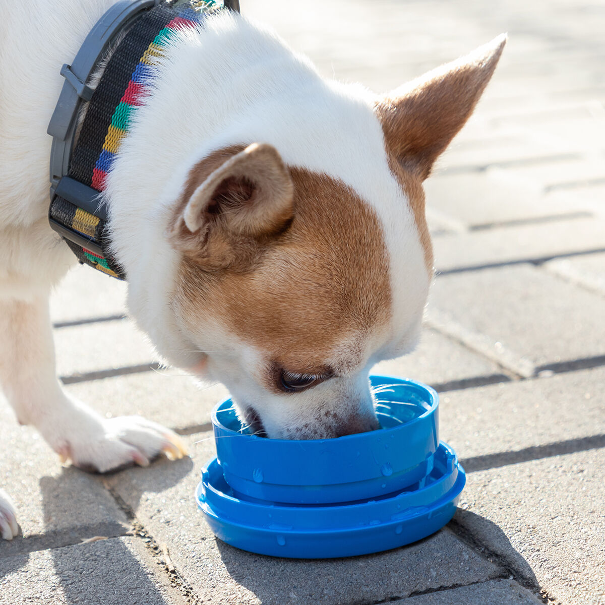 V13H9D32D767FB05583F94653D27D20B1ECCR4145852P7