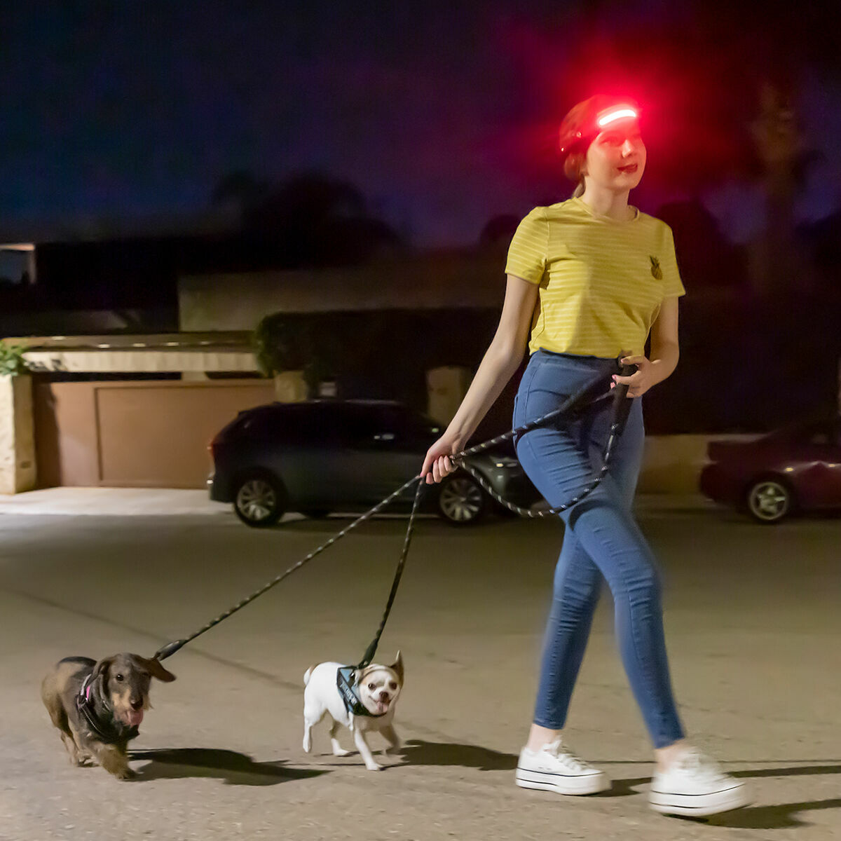 V10H2779619EE9D95895263BE4434F8081DAR5222736P6