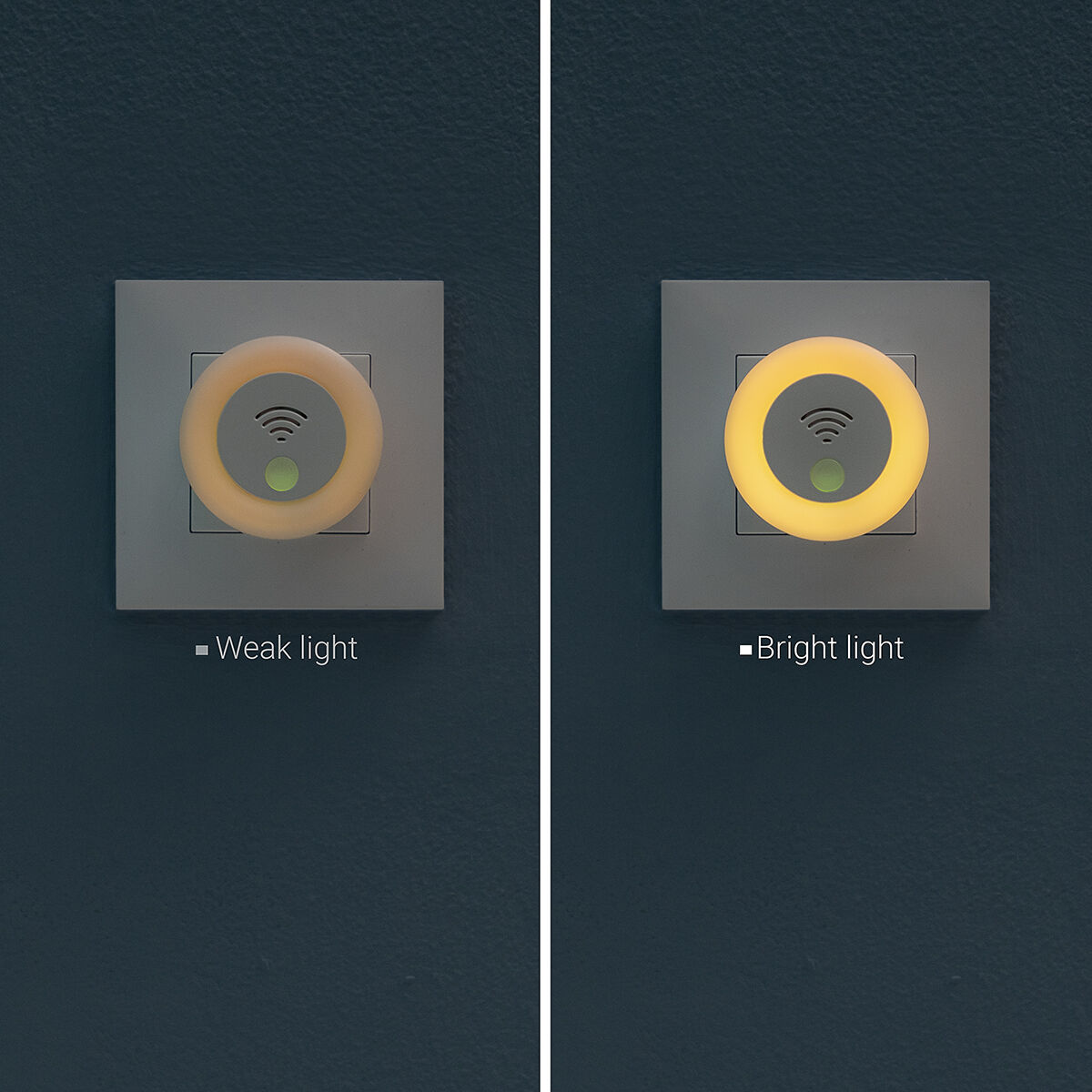 V13H29C750DC7E5C6A985DB46202275C22F4R5277702P5