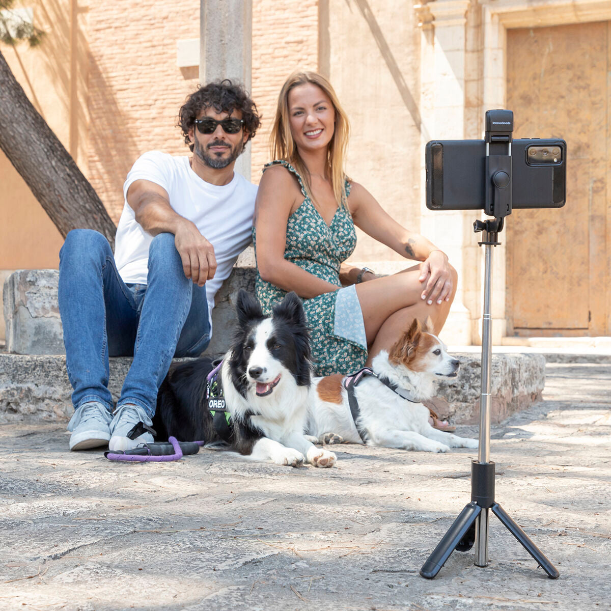 V13H8BEABC249C04E75B622B6097BB6730B9R5435119P3