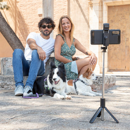 V13H8BEABC249C04E75B622B6097BB6730B9R5435119P3